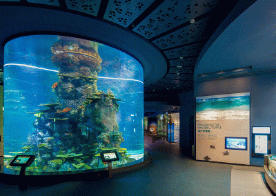 Resorts World Sentosa – Marine Life Park